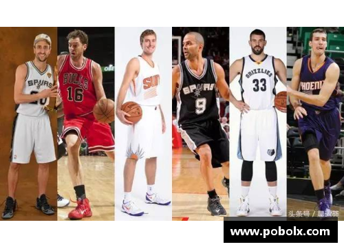 法国NBA球员：在世界篮球舞台上的光辉表现
