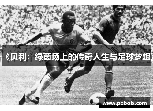 《贝利：绿茵场上的传奇人生与足球梦想》