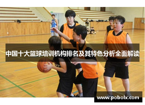 中国十大篮球培训机构排名及其特色分析全面解读