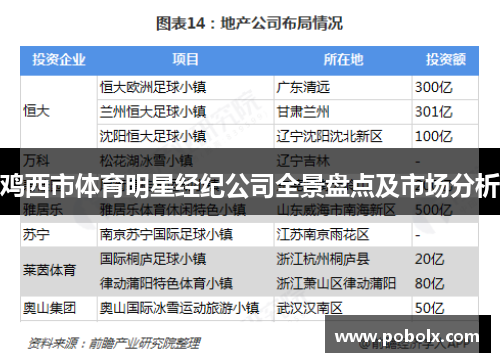鸡西市体育明星经纪公司全景盘点及市场分析