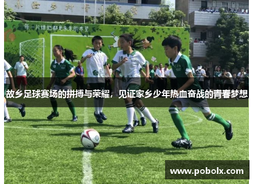 故乡足球赛场的拼搏与荣耀，见证家乡少年热血奋战的青春梦想