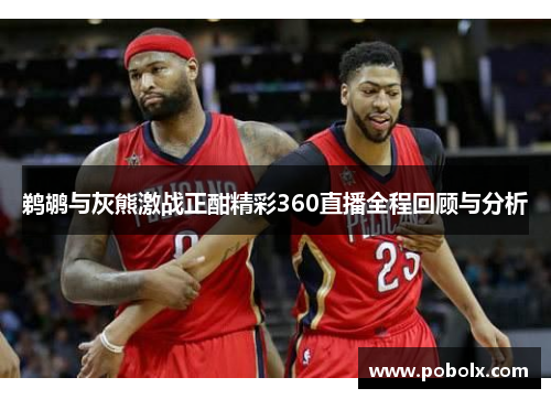 鹈鹕与灰熊激战正酣精彩360直播全程回顾与分析