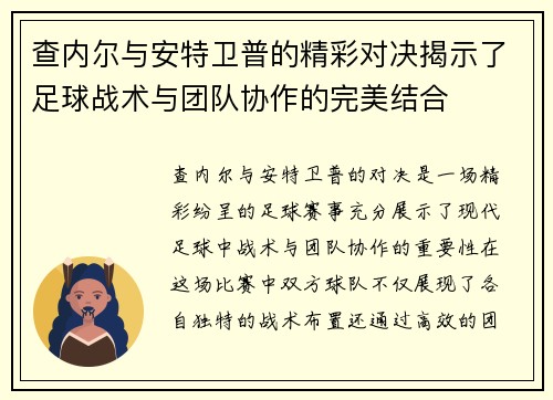 查内尔与安特卫普的精彩对决揭示了足球战术与团队协作的完美结合